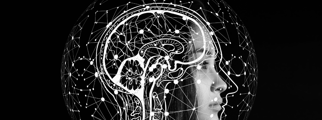 Experiência Consciente – Qual parte do cérebro é responsável?
